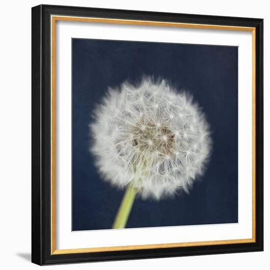 Wish Garden-Susannah Tucker-Framed Art Print