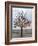 Wish Tree, Kiev, Ukraine, Europe-Graham Lawrence-Framed Photographic Print