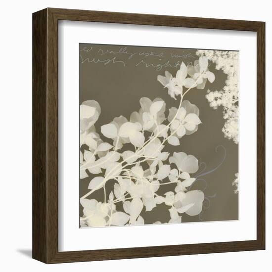 Wishes and Leaves I-Amy Melious-Framed Art Print