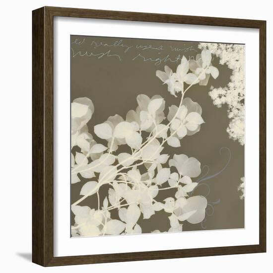 Wishes and Leaves I-Amy Melious-Framed Art Print