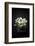 Wishes in the Night-Philippe Sainte-Laudy-Framed Photographic Print