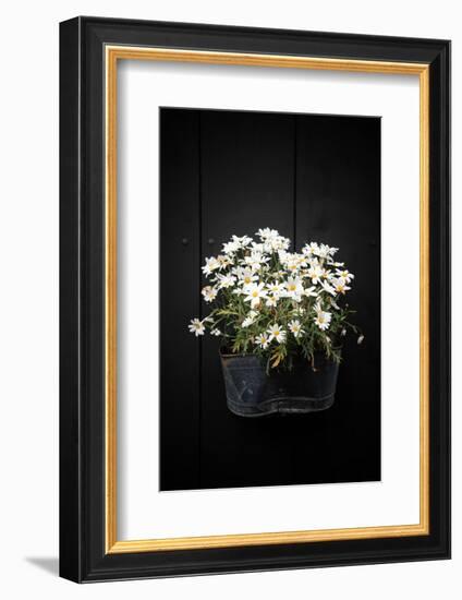 Wishes in the Night-Philippe Sainte-Laudy-Framed Photographic Print