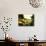 Wishful Hearts I-Irene Suchocki-Mounted Giclee Print displayed on a wall