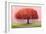 Wishing Tree-Nancy Tillman-Framed Art Print