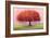 Wishing Tree-Nancy Tillman-Framed Art Print