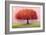 Wishing Tree-Nancy Tillman-Framed Art Print