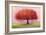 Wishing Tree-Nancy Tillman-Framed Premium Giclee Print