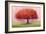 Wishing Tree-Nancy Tillman-Framed Premium Giclee Print