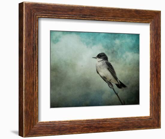 Wishing-Jai Johnson-Framed Giclee Print