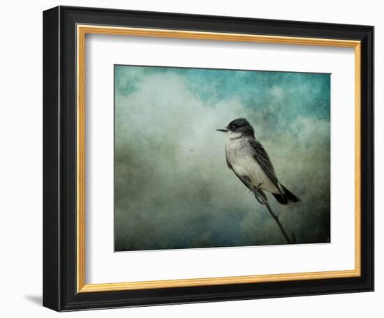 Wishing-Jai Johnson-Framed Giclee Print