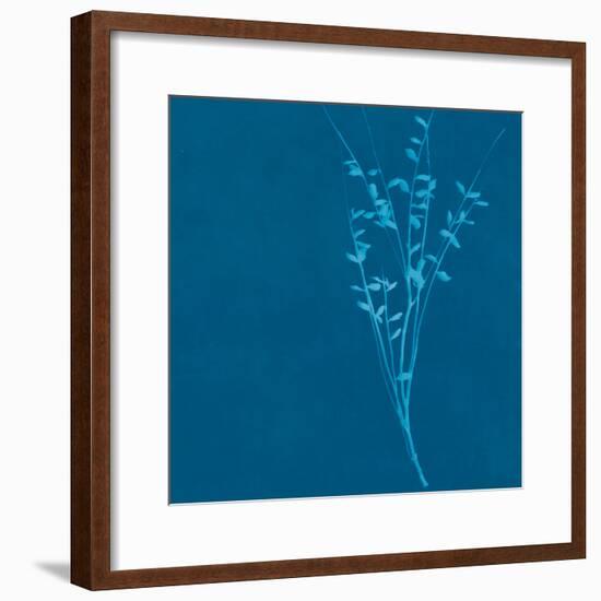 Wisp II-Sarah Cheyne-Framed Giclee Print