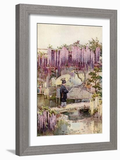 Wistaria, Kabata-Ella Du Cane-Framed Giclee Print