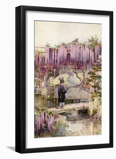 Wistaria, Kabata-Ella Du Cane-Framed Giclee Print