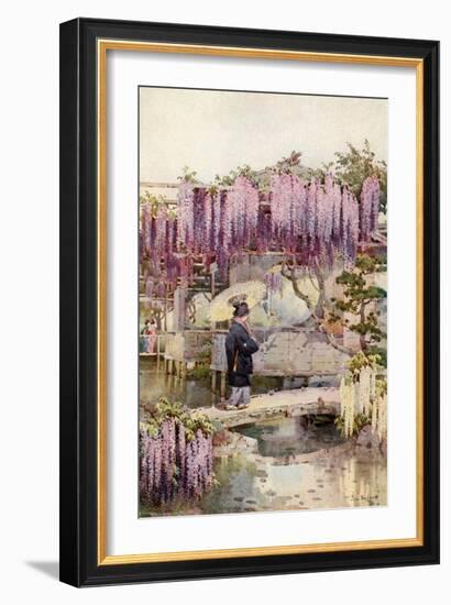 Wistaria, Kabata-Ella Du Cane-Framed Giclee Print