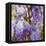 Wisteria, 2018-Helen White-Framed Premier Image Canvas