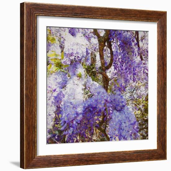 Wisteria, 2018-Helen White-Framed Giclee Print