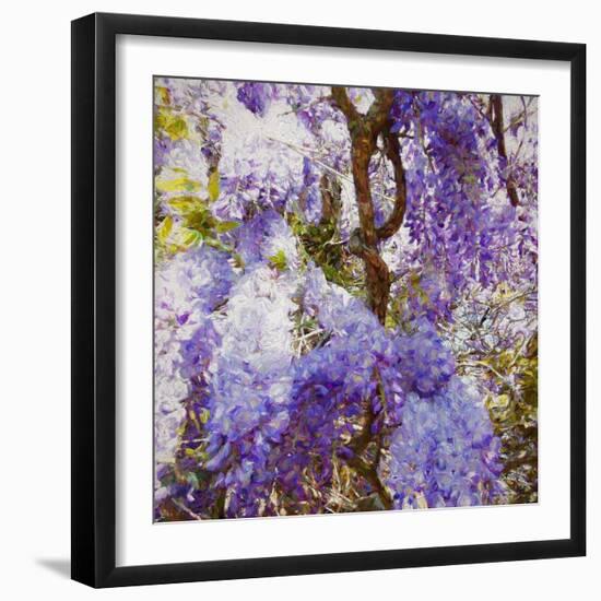 Wisteria, 2018-Helen White-Framed Giclee Print