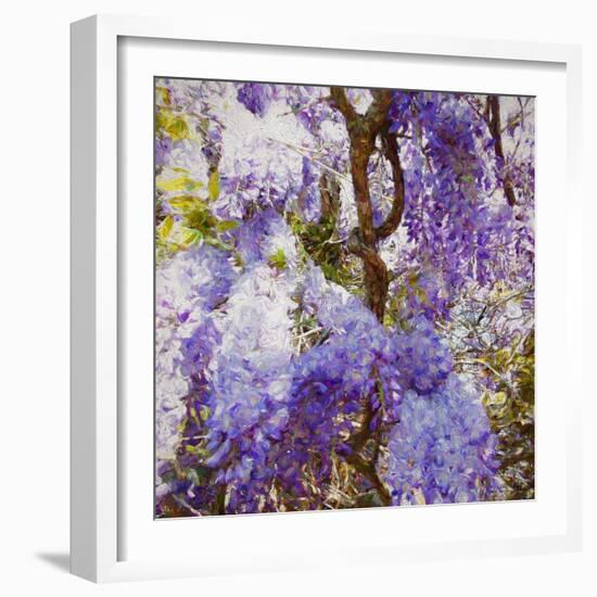 Wisteria, 2018-Helen White-Framed Giclee Print