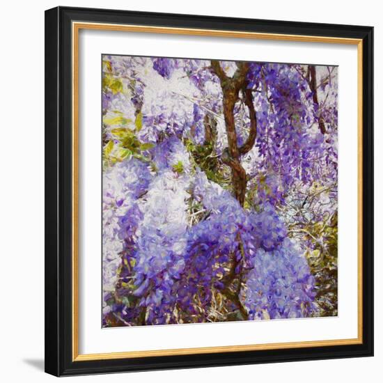 Wisteria, 2018-Helen White-Framed Giclee Print