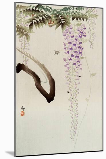 Wisteria and Bee-Koson Ohara-Mounted Giclee Print