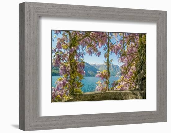Wisteria and Mountains – Lago di Como-Brooke T. Ryan-Framed Photographic Print