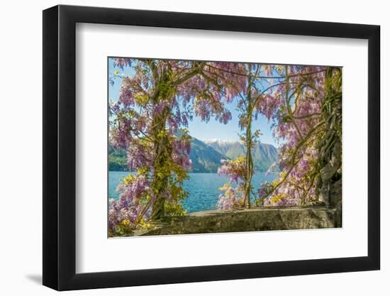 Wisteria and Mountains – Lago di Como-Brooke T. Ryan-Framed Photographic Print