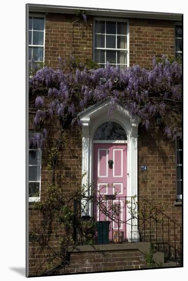 Wisteria around a Doorway-Natalie Tepper-Mounted Photo