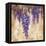 Wisteria Bloom II-null-Framed Stretched Canvas