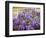 Wisteria Blooming in Spring, Sonoma Valley, California, USA-Julie Eggers-Framed Photographic Print