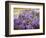 Wisteria Blooming in Spring, Sonoma Valley, California, USA-Julie Eggers-Framed Photographic Print