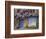 Wisteria-Covered Cottage-Richard Klune-Framed Photographic Print