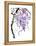 Wisteria Garden I-Nan Rae-Framed Stretched Canvas