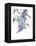 Wisteria Garden II-Nan Rae-Framed Stretched Canvas