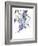 Wisteria Garden II-Nan Rae-Framed Art Print