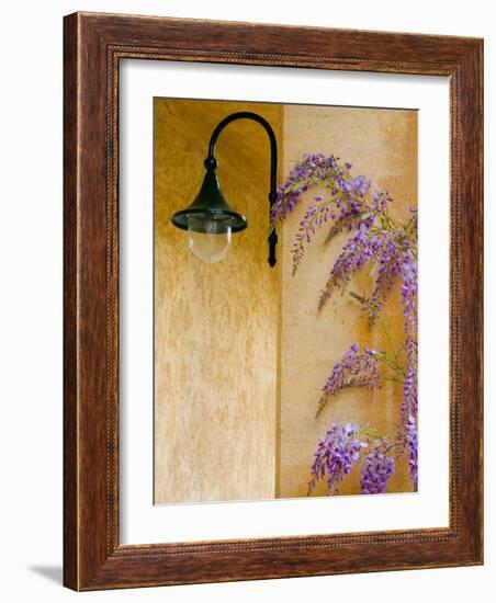 Wisteria Growing at St. Francis Vineyards and Winery, Sonoma Valley, California, USA-Julie Eggers-Framed Photographic Print