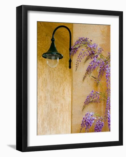 Wisteria Growing at St. Francis Vineyards and Winery, Sonoma Valley, California, USA-Julie Eggers-Framed Photographic Print