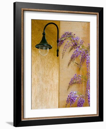 Wisteria Growing at St. Francis Vineyards and Winery, Sonoma Valley, California, USA-Julie Eggers-Framed Photographic Print