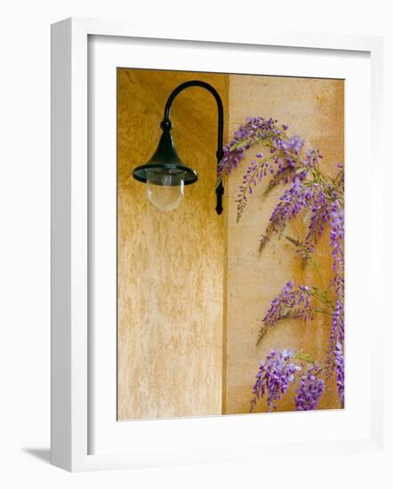 Wisteria Growing at St. Francis Vineyards and Winery, Sonoma Valley, California, USA-Julie Eggers-Framed Photographic Print