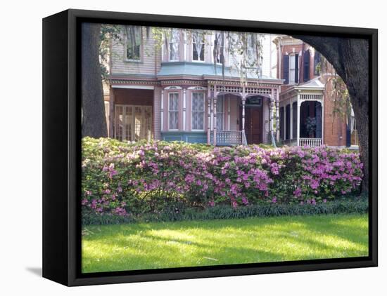 Wisteria on Gazebo Across from Park, Savannah, Georgia, USA-Julie Eggers-Framed Premier Image Canvas