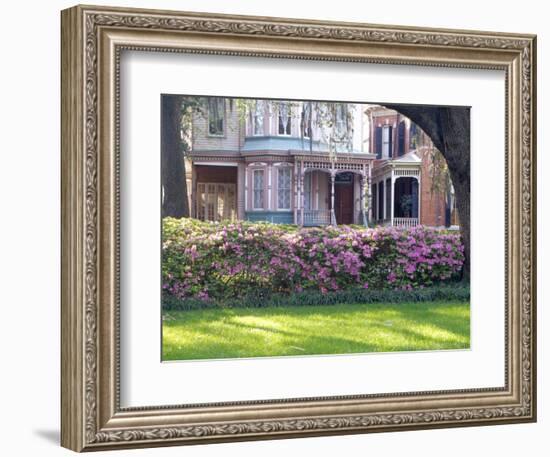 Wisteria on Gazebo Across from Park, Savannah, Georgia, USA-Julie Eggers-Framed Photographic Print