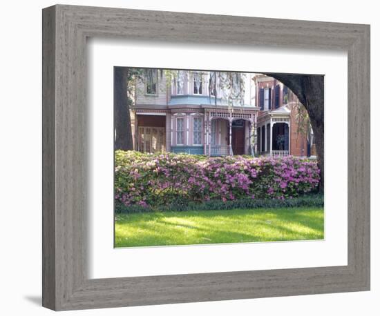 Wisteria on Gazebo Across from Park, Savannah, Georgia, USA-Julie Eggers-Framed Photographic Print