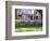 Wisteria on Gazebo Across from Park, Savannah, Georgia, USA-Julie Eggers-Framed Photographic Print