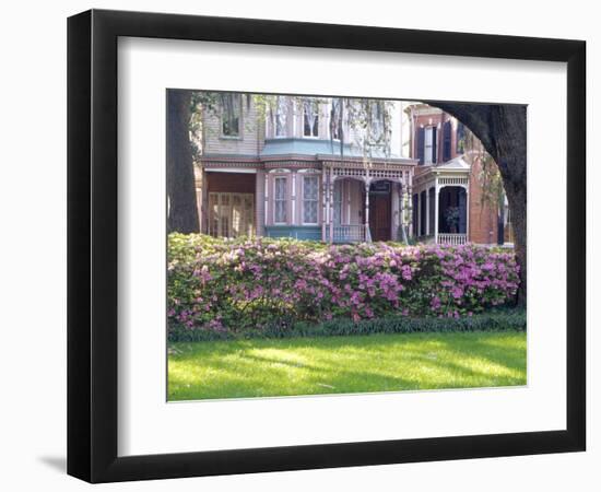 Wisteria on Gazebo Across from Park, Savannah, Georgia, USA-Julie Eggers-Framed Photographic Print