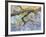 Wisteria, Van Vleck-Sharon Pitts-Framed Giclee Print