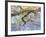 Wisteria, Van Vleck-Sharon Pitts-Framed Giclee Print