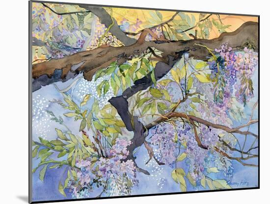 Wisteria, Van Vleck-Sharon Pitts-Mounted Giclee Print