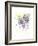 Wisteria-The Tangled Peacock-Framed Giclee Print