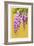 Wisteria-Lantern Press-Framed Art Print