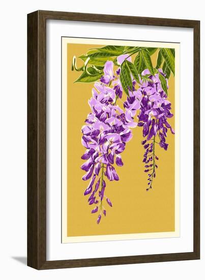 Wisteria-Lantern Press-Framed Art Print