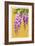 Wisteria-Lantern Press-Framed Art Print